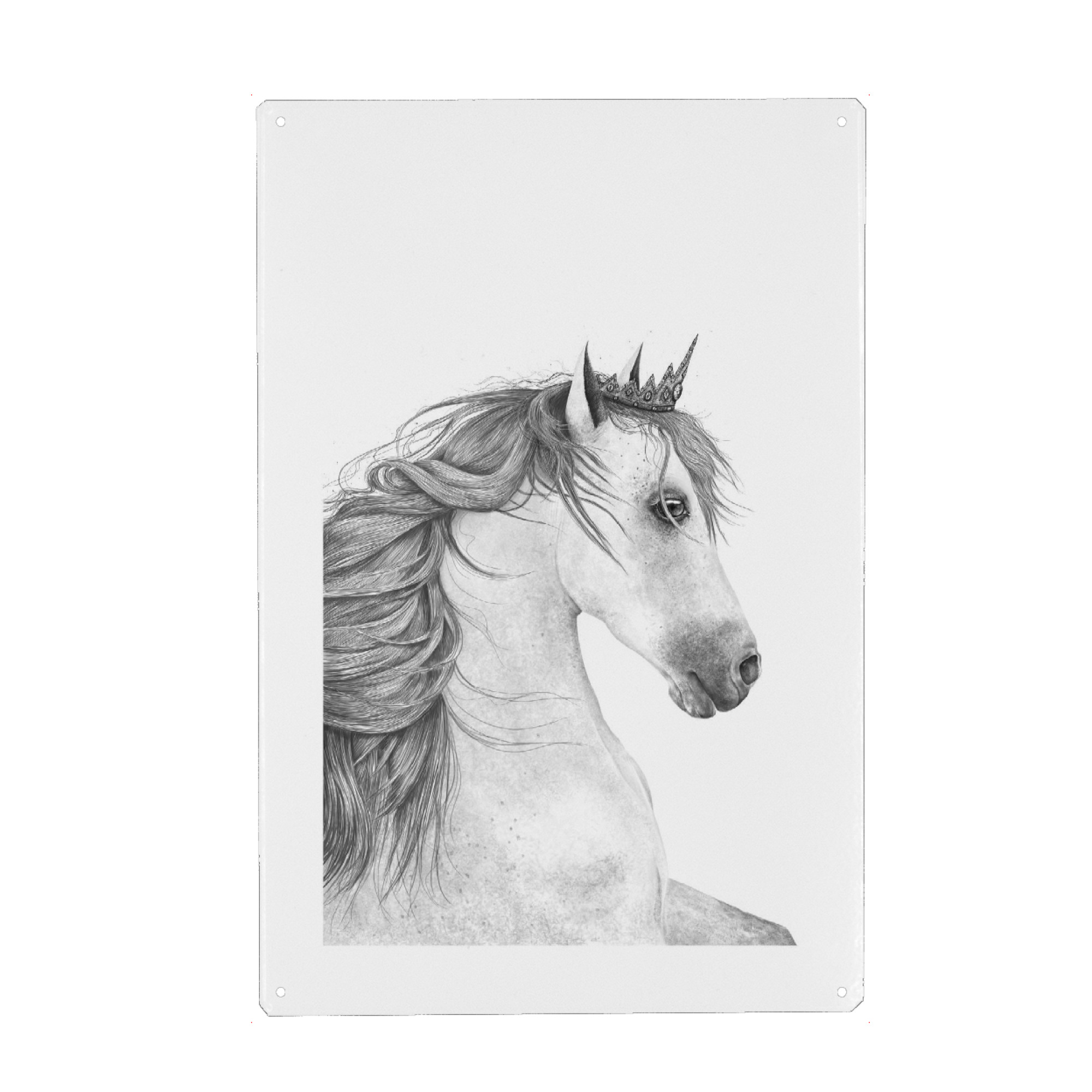 Metall Poster "Queen horse" artboxONE - Tiere,Schwarzweiß,Für Mama,Lustig - Queen,Horse,Black and white,Royal,Beauty - Blechschild