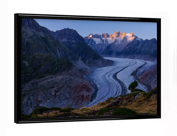 Poster mit schwarzem Rahmen "Aletsch glacier at dusk" artboxONE - Natur