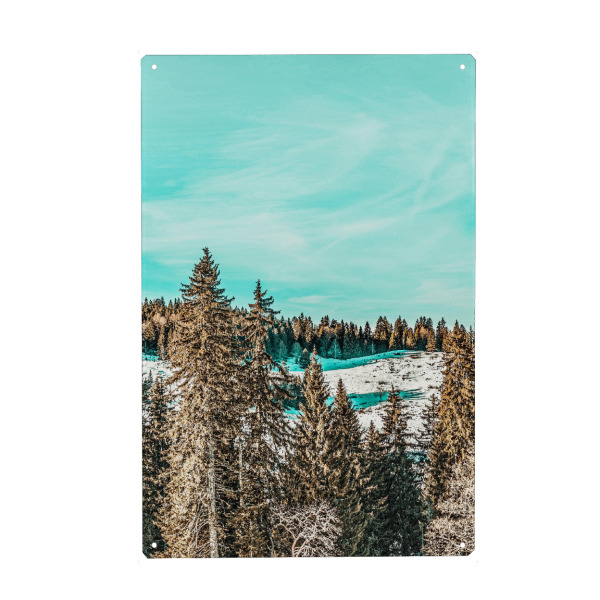 Holzbild "Winter Morning-II" artboxONE - Natur