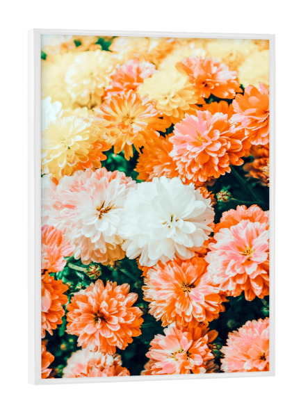 Poster mit weißem Rahmen "Garden Song" artboxONE - Natur,Floral