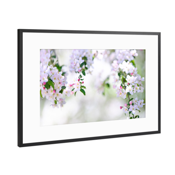 Poster mit Rahmen Schwarz (Metallic) "Branches of white blooming tree" artboxONE - Natur
