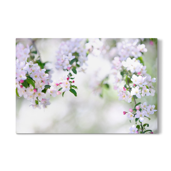 Galerie-Print "Branches of white blooming tree" 30x20 cm artboxONE