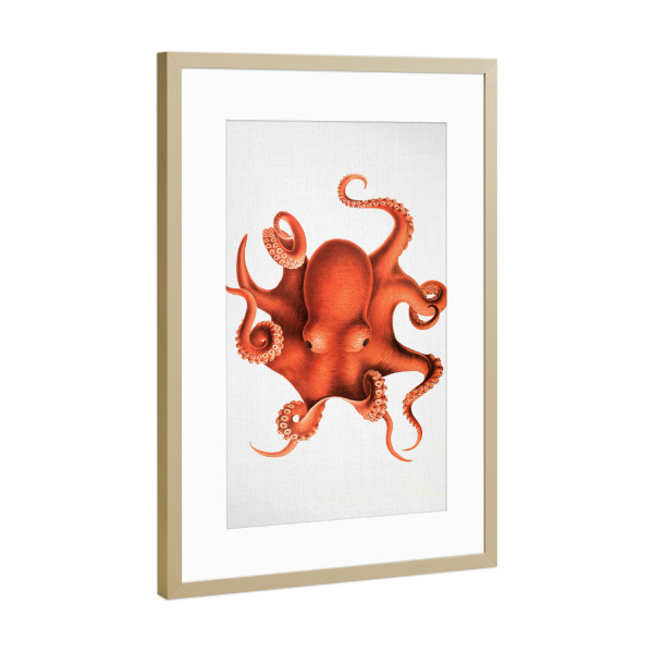 Poster mit Rahmen Gold "Octopus - Watercolor" artboxONE - Natur,Für Kinder,Tiere,Essen & Trinken,Reise / Strand und Meer,Für Mama,Für Papa,Lustig