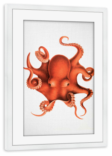 Poster mit Rahmen weiß "Octopus - Watercolor" artboxONE - Natur,Für Kinder,Tiere,Essen & Trinken,Reise / Strand und Meer,Für Mama,Für Papa,Lustig