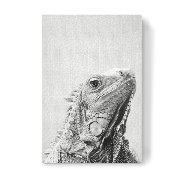 Leinwandbild "Iguana - Black & White" artboxONE - Natur,Reise,Für Kinder,Tiere,Schwarzweiß,Für Mama,Für Papa,Lustig