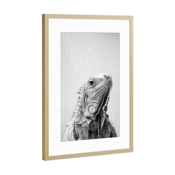 Poster mit Rahmen Gold "Iguana - Black & White" artboxONE - Natur,Reise,Für Kinder,Tiere,Schwarzweiß,Für Mama,Für Papa,Lustig