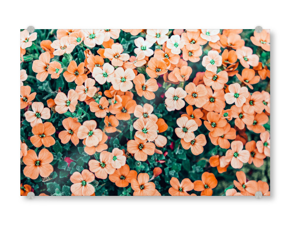 Acrylglasbild "Floral Bliss" artboxONE - Floral