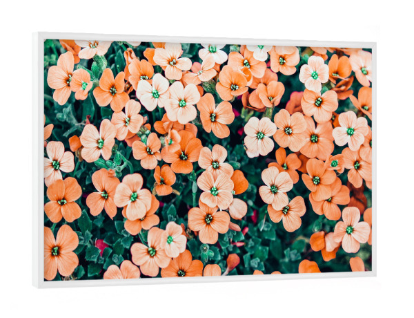 Poster mit weißem Rahmen "Floral Bliss" artboxONE - Floral