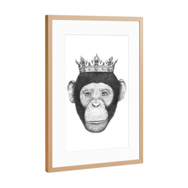 Poster mit Rahmen Kupfer "Monkey King" artboxONE - Tiere,Schwarzweiß,Für Papa,Lustig - Monkey,Ape,Black and white,King,Royal