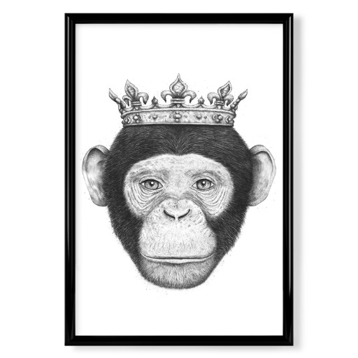 Monkey King