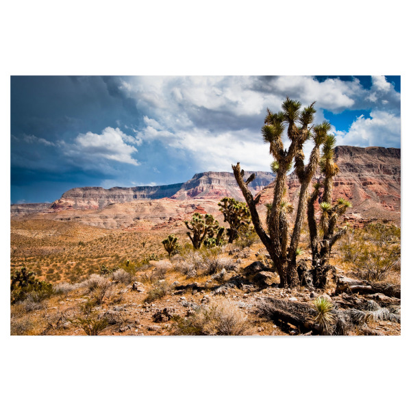 Poster "Sandstone cliffs" artboxONE - Natur - Utah,Usa,Sandstone,Cliff,Clouds,Thunderstorm,Remote,Desert,Nature,Cactus,Landscape,Southwest