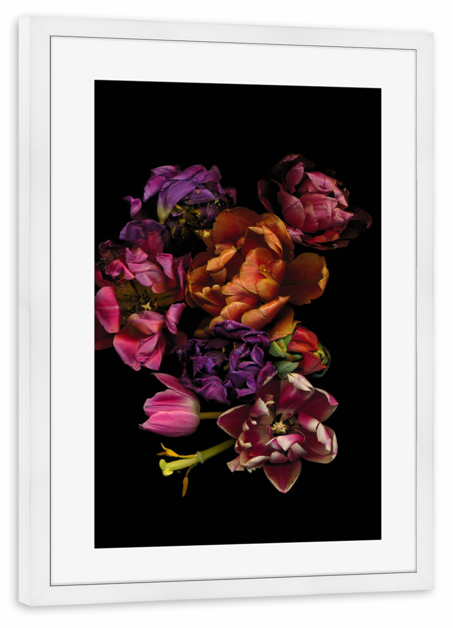 Poster mit Rahmen weiß "Milota" artboxONE - Floral