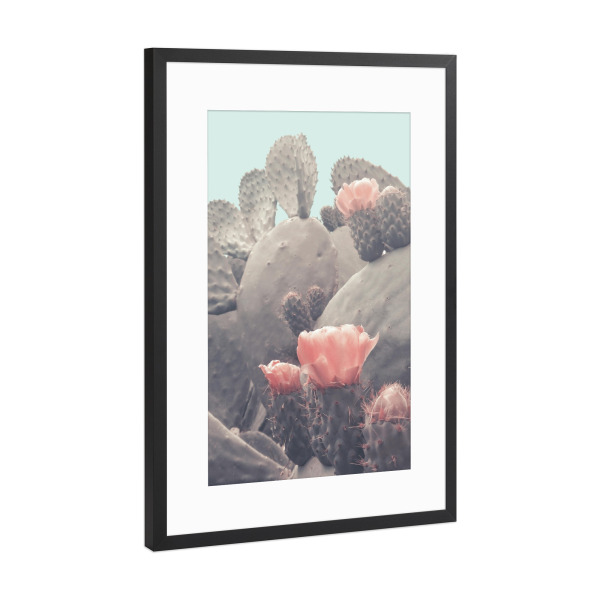 Poster mit Rahmen Schwarz (Metallic) "Floral Cactus" artboxONE - Natur,Floral - Cactus,Desert,Blossom,Flower,Floral,Pink