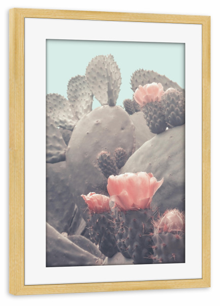 Poster mit Rahmen kiefer "Floral Cactus" artboxONE - Natur,Floral - Cactus,Desert,Blossom,Flower,Floral,Pink