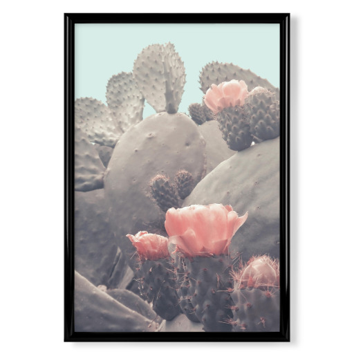 Floral Cactus