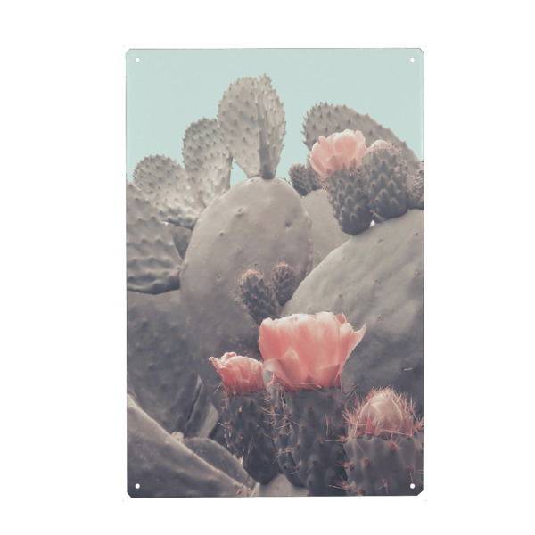 Metall Poster "Floral Cactus" artboxONE - Natur,Floral - Cactus,Desert,Blossom,Flower,Floral,Pink - Blechschild