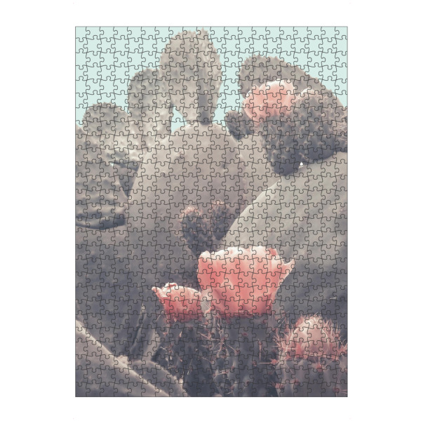 Puzzle Ravensburger "Floral Cactus" artboxONE - Natur,Floral - Cactus,Desert,Blossom,Flower,Floral,Pink - Bild cactus
