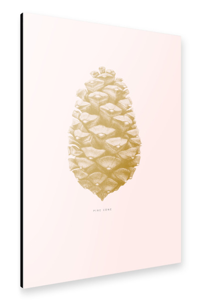 Alu-Dibond "Beautiful pine cone light pink" 30x20 cm artboxONE