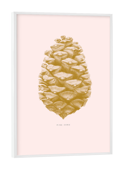 Poster mit weißem Rahmen "Beautiful pine cone light pink" artboxONE - Natur,Floral,Für Mama