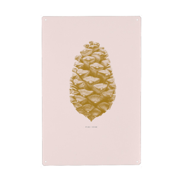 Holzbild "Beautiful pine cone light pink" artboxONE - Natur,Floral,Für Mama