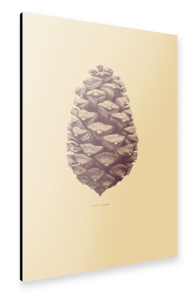 Alu-Dibond "Beautiful pine cone yellow" 30x20 cm artboxONE