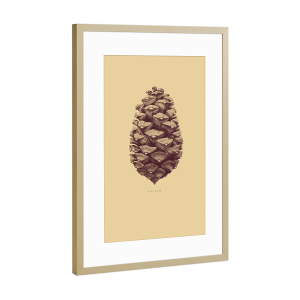 Poster mit Rahmen Gold "Beautiful pine cone yellow" artboxONE - Natur,Floral