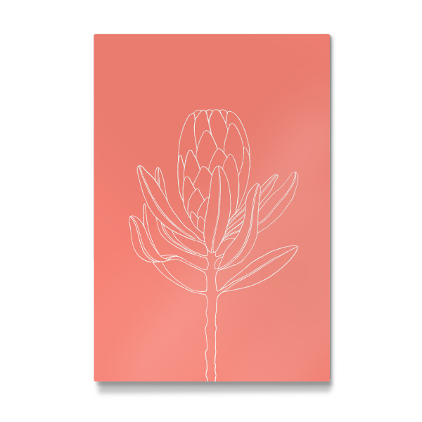 Galerie-Print "Beautiful protea coral" 30x20 cm artboxONE