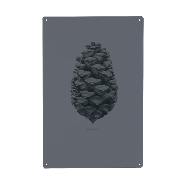 Metall Poster "Beautiful pine cone gray" artboxONE - Natur,Floral,Für Mama