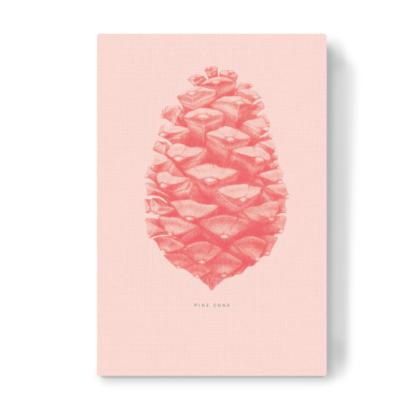 Leinwandbild "Beautiful pine cone coral" artboxONE - Natur,Floral,Für Mama