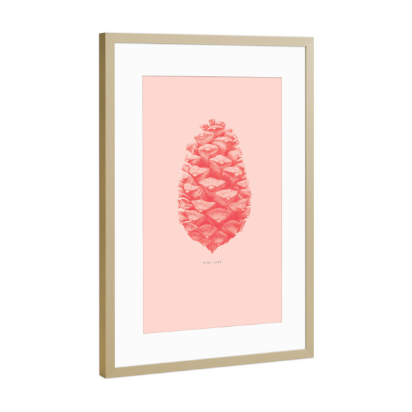 Poster mit Rahmen Gold "Beautiful pine cone coral" artboxONE - Natur,Floral,Für Mama
