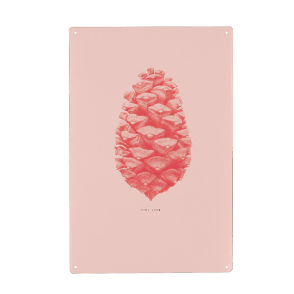 Metall Poster "Beautiful pine cone coral" artboxONE - Natur,Floral,Für Mama