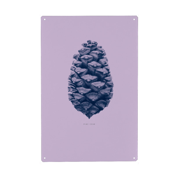 Holzbild "Beautiful pine cone purple" artboxONE - Natur,Floral