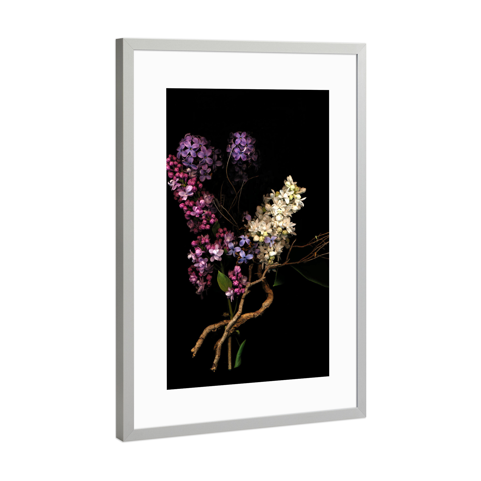 Poster mit Rahmen Silber "Anais" artboxONE - Natur,Floral,Liebe,Buchstaben / B,Buchstaben / F