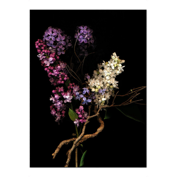 Puzzle Ravensburger "Anais" artboxONE - Natur,Floral,Liebe,Buchstaben / B,Buchstaben / F