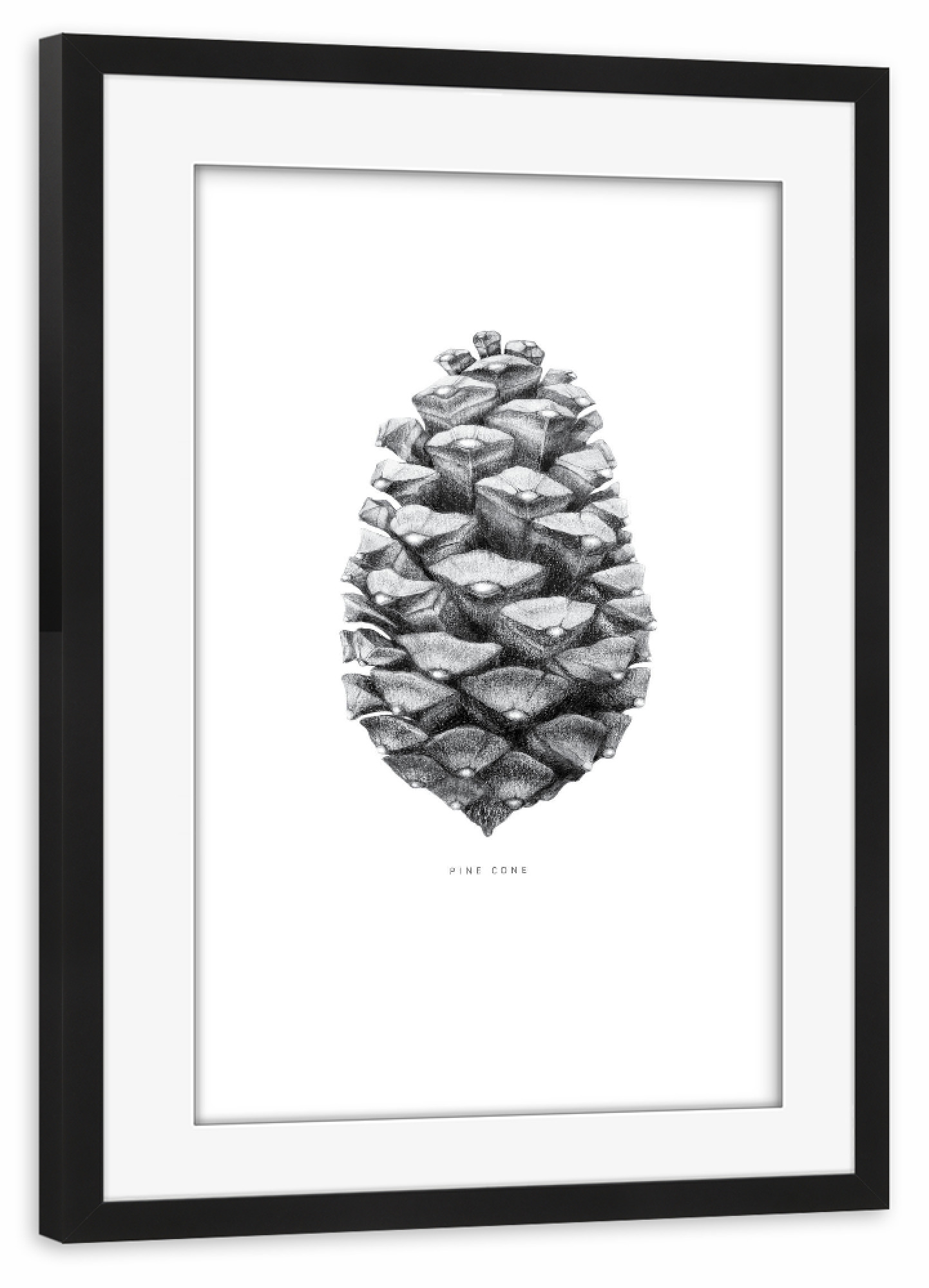 Poster mit Rahmen schwarz "Beautiful pine cone black" artboxONE - Natur,Floral,Schwarzweiß,Für Mama