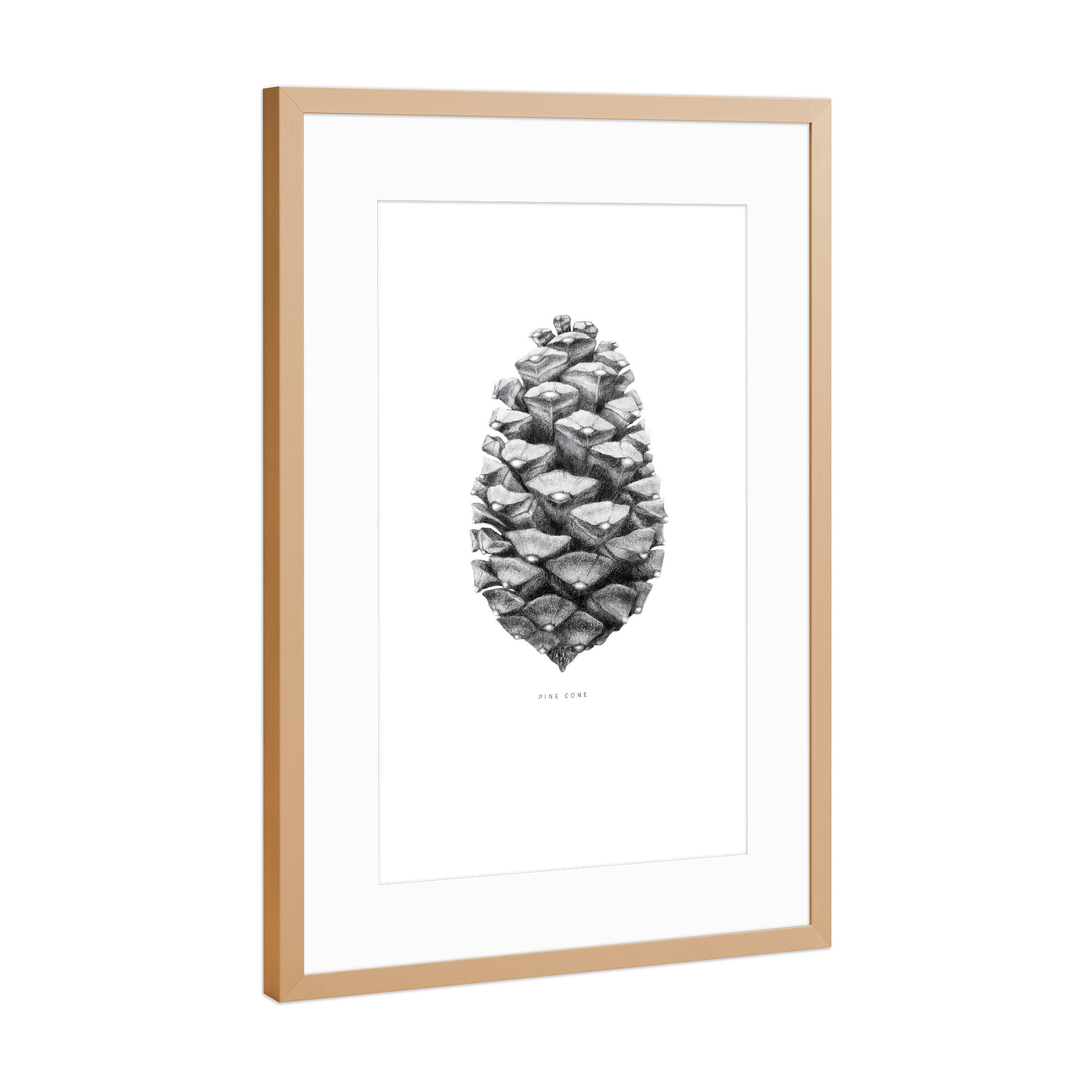 Poster mit Rahmen Kupfer "Beautiful pine cone black" artboxONE - Natur,Floral,Schwarzweiß,Für Mama