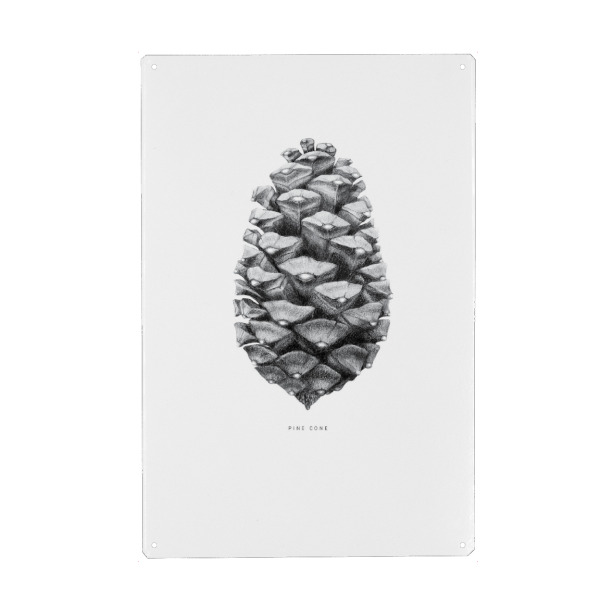 Holzbild "Beautiful pine cone black" artboxONE - Natur,Floral,Schwarzweiß,Für Mama