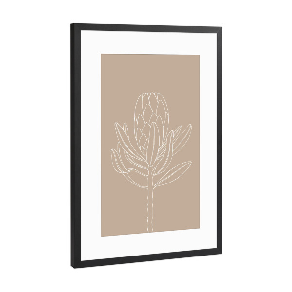 Poster mit Rahmen Schwarz (Metallic) "Beautiful protea beige" artboxONE - Natur,Floral,Für Mama
