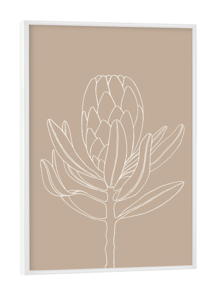 Poster mit weißem Rahmen "Beautiful protea beige" artboxONE - Natur,Floral,Für Mama