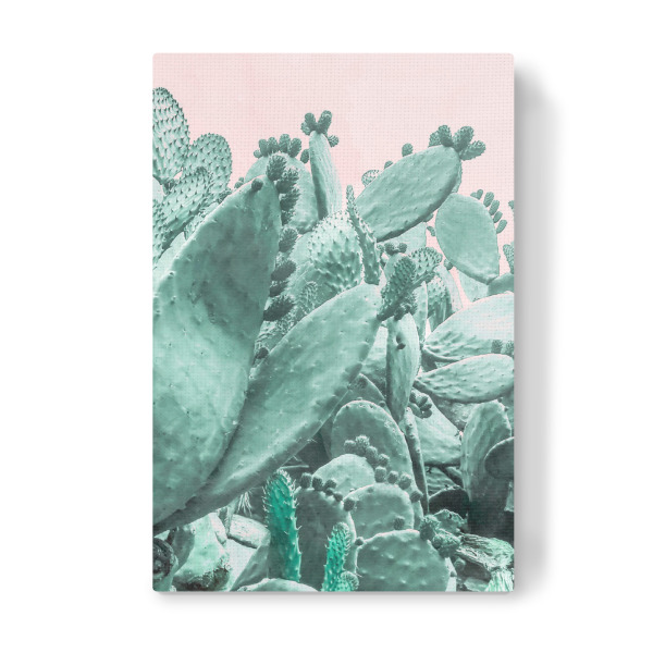 Leinwandbild "Cactus Forest on Pink" artboxONE - Natur - Cactus,Desert,Jungle,Forest,Pink,Greenery