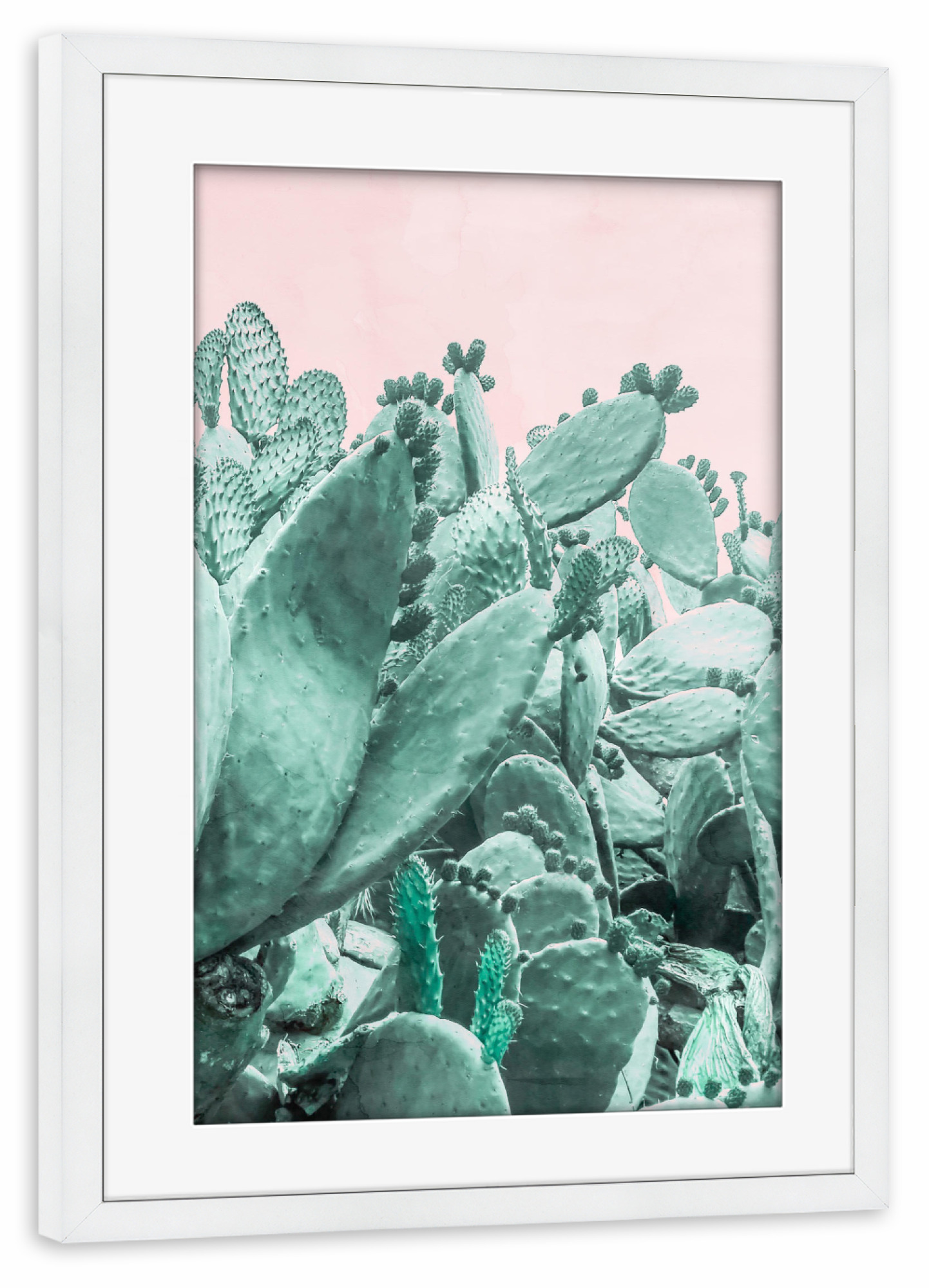 Poster mit Rahmen weiß "Cactus Forest on Pink" artboxONE - Natur - Cactus,Desert,Jungle,Forest,Pink,Greenery