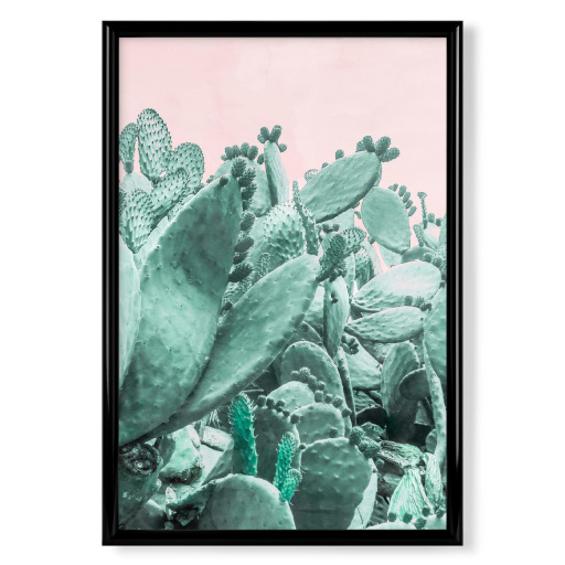 Cactus Forest on Pink