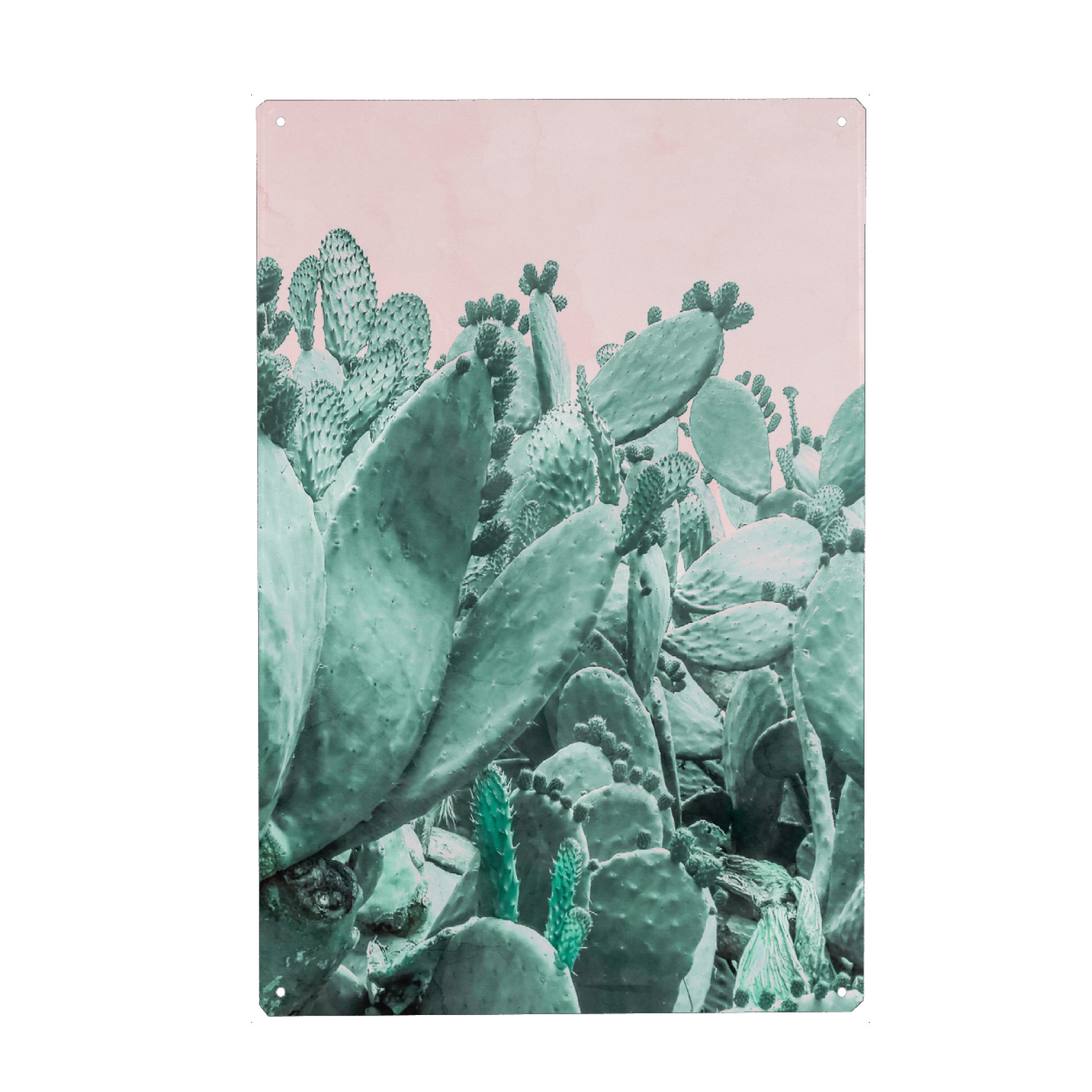 Metall Poster "Cactus Forest on Pink" artboxONE - Natur - Cactus,Desert,Jungle,Forest,Pink,Greenery - Blechschild