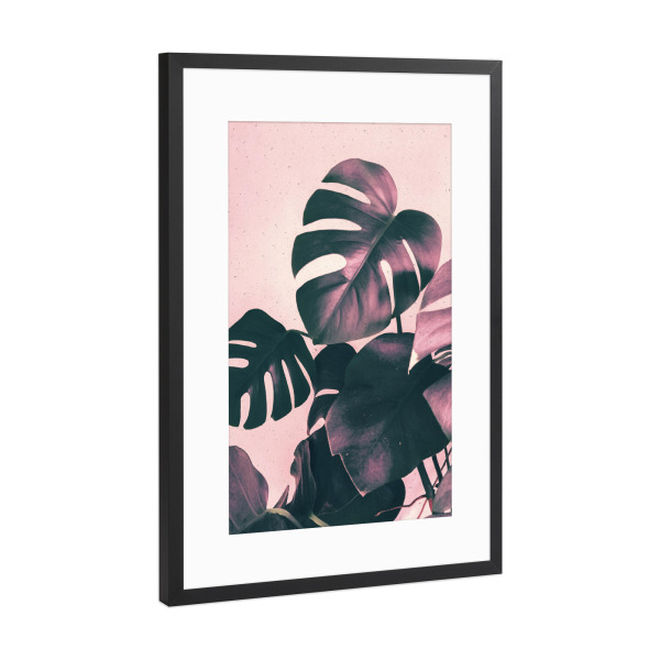 Poster mit Rahmen Schwarz (Metallic) "Pink Shadows Monstera" artboxONE - Natur,Floral - Pink,Rose,Leaf,Leaves,Monstera,Tropical,Plant