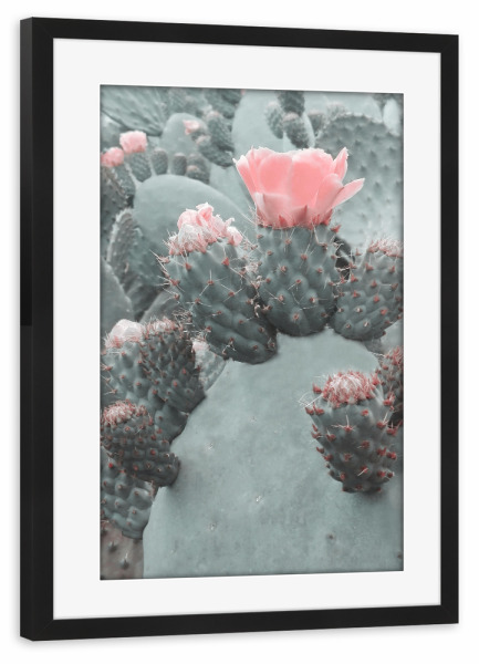 Poster mit Rahmen schwarz "Desert Blossom" artboxONE - Natur,Floral - Cactus,Floral,Flower,Spring,Desert,Blossom