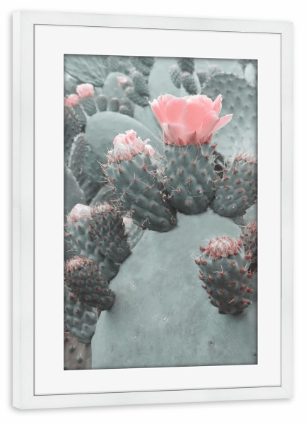 Poster mit Rahmen weiß "Desert Blossom" artboxONE - Natur,Floral - Cactus,Floral,Flower,Spring,Desert,Blossom