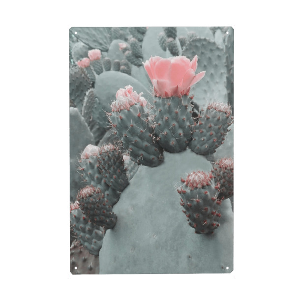 Holzbild "Desert Blossom" artboxONE - Natur,Floral - Cactus,Floral,Flower,Spring,Desert,Blossom