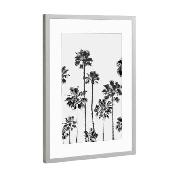 Poster mit Rahmen Silber "Black & White Palm trees" artboxONE - Natur,Reise,Schwarzweiß,Reise / Strand und Meer