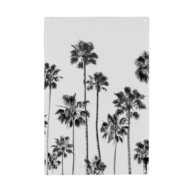 Holzbild "Black & White Palm trees" artboxONE - Natur,Reise,Schwarzweiß,Reise / Strand und Meer