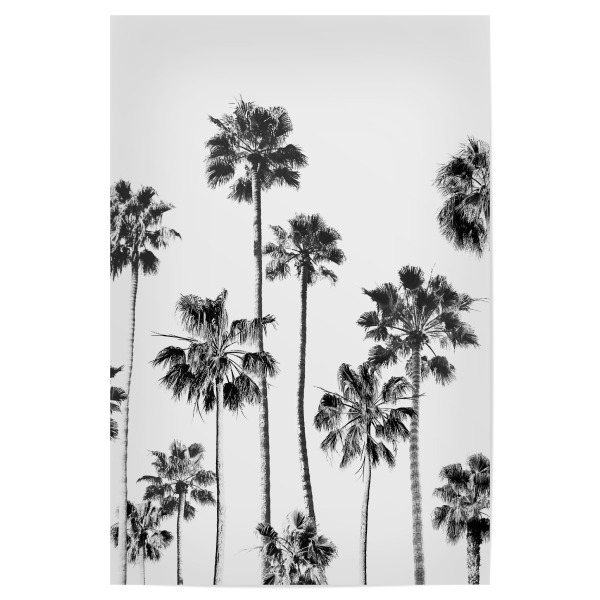 Poster 30x20 cm "Black & White Palm trees" artboxONE - Natur,Reise,Schwarzweiß,Reise / Strand und Meer